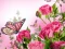 Xogo Butterflies Puzzle en liña