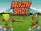 Xogo Arrow Shoot en liña