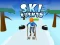 Xogo Ski Rush 3d en liña