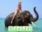 Xogo Elephants Puzzle en liña