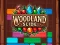 Xogo Woodland Slide en liña