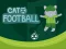 Xogo Cat Football en liña