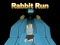 Xogo Rabbit Run 3D en liña