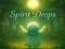 Xogo Spirit Drops en liña