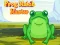 Xogo Frog Match Master en liña