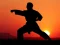Xogo Karate Sunset Warriors en liña