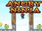 Xogo Angry Ninja en liña