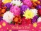 Xogo 2019 Mother's Day Puzzle en liña