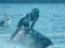 Xogo Power Boat Racing 3D en liña