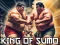 Xogo King Of Sumo the ultimate brawl en liña