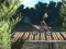 Xogo Bike Trial Xtreme Forest en liña