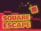 Xogo Square Escape en liña