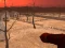 Xogo Wasteland Shooters en liña