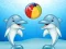 Xogo Dolphin Show en liña