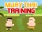 Xogo Muay Thai Training en liña