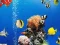 Xogo Sea Underwater Difference en liña