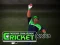 Xogo Cricket Fielder Challenge en liña