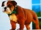 Xogo Bulldog Puppy Puzzle en liña
