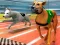 Xogo Dogs 3D Races en liña
