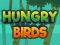 Xogo Hungry Birds en liña