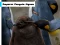 Xogo Emperor Penguin Jigsaw en liña