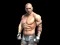 Xogo Fight Arena Online en liña