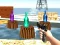 Xogo Bottle Shooter games en liña
