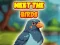 Xogo Meet The Birds en liña