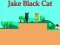 Xogo Jake Black Cat en liña