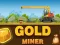 Xogo Amazing Gold Miner en liña