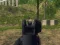 Xogo Army Shooter en liña