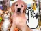 Xogo Pets Clicker en liña