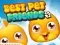 Xogo Best Pet Friends en liña