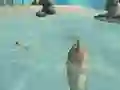 Xogo Shark Simulator Beach Killer en liña