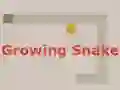 Xogo Growing Snake en liña