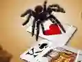 Xogo Jumping Spider en liña