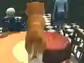 Xogo Dog Simulator: Puppy Craft en liña