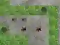 Xogo Spider Tower Defence en liña