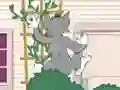 Xogo Tom und Jerry: Wasserbomben Wahnsinn en liña