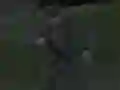 Xogo Soviet Sniper en liña