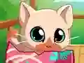 Xogo My Pocket Pets Kitty Cat en liña