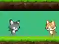Xogo Cat vs Dog en liña