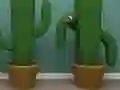 Xogo Cactus Cube en liña