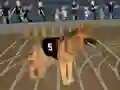 Xogo Crazy Dog Racing Fever en liña