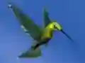Xogo Hummingbird House Escape en liña