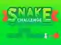 Xogo Snake Challenge en liña
