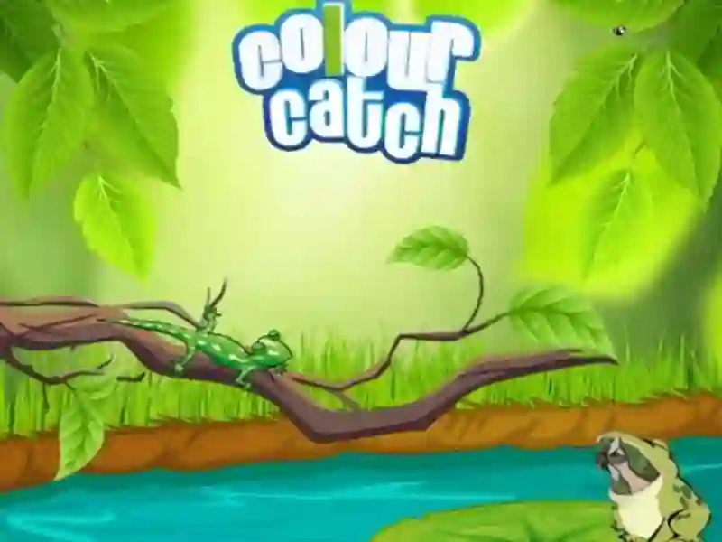 Xogo Colour Catch en liña