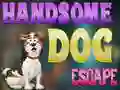 Xogo Handsome Dog Escape en liña