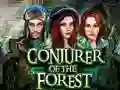 Xogo Conjurer Of The Forest en liña