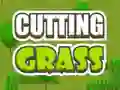 Xogo Cutting Grass en liña